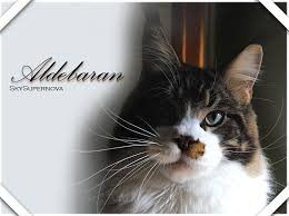 aldebaran