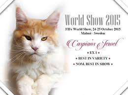 caspians jewel